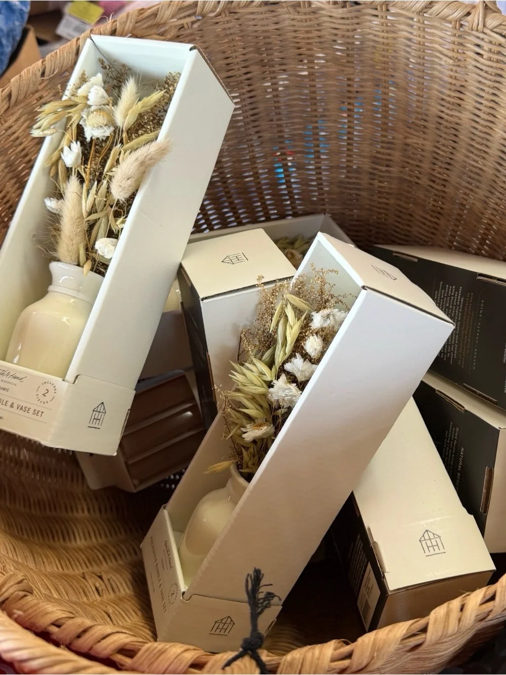 Mini Preserved Bundle and Vase Set - Hearth & Hand™ with Magnolia